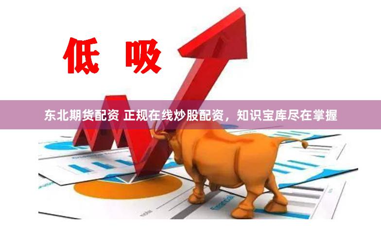 东北期货配资 正规在线炒股配资，知识宝库尽在掌握